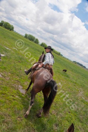 Shooting one-handed with a heavy DLSR and zoom lens while riding a horse.