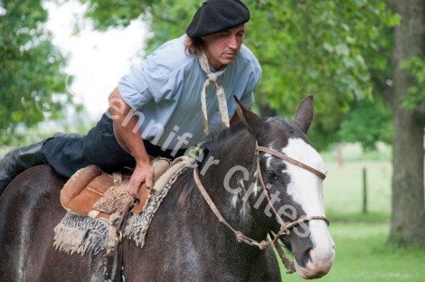 Gaucho and Horse Demonstration