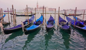Gondolas in Venice's lagoon