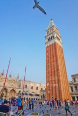 the campanile (tower) in St. Mark's Square, Venice