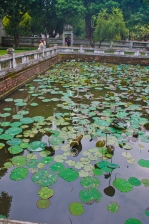 One of many ponds at the Temple of Literature, built in 1070