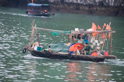 a variety of boats and ships cruised HaLong Bay