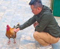 our guide petting a chicken